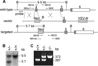 FIG. 5.