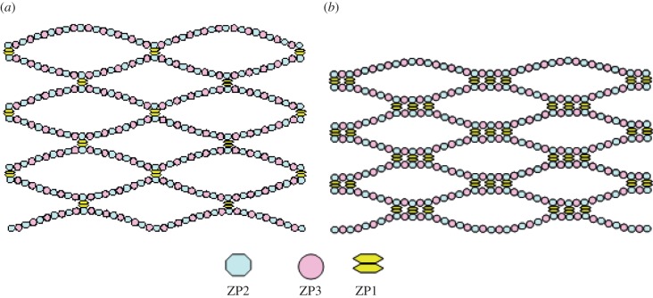 Figure 6.