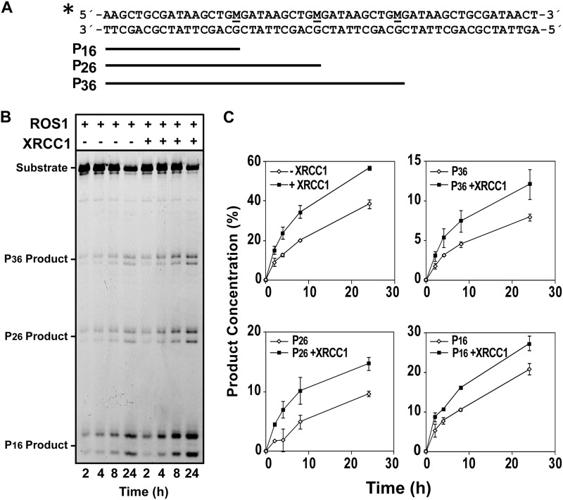 FIGURE 4.