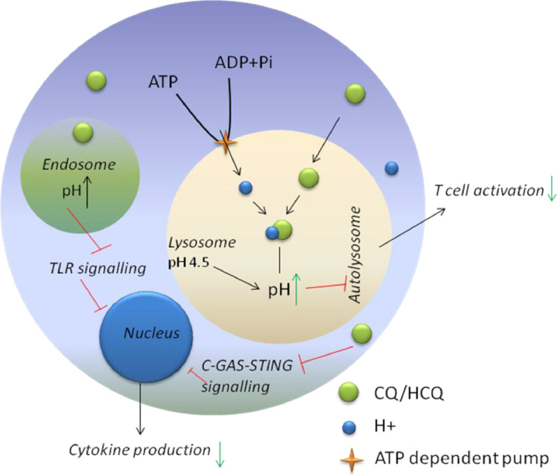 Fig 2