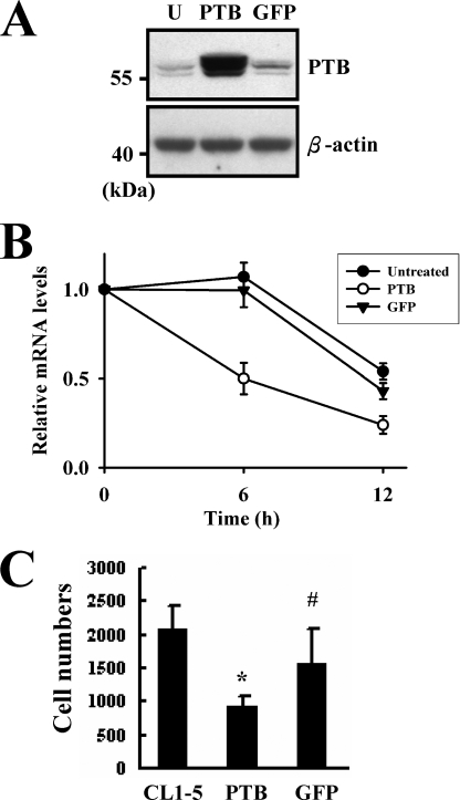 FIGURE 9.