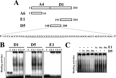 FIGURE 4.