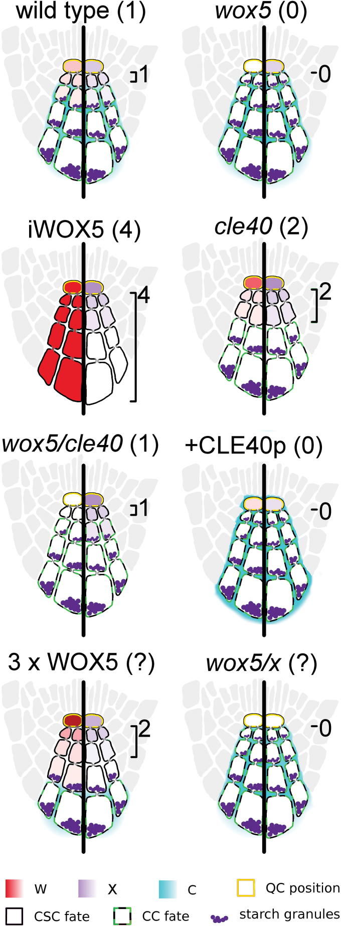 Fig. 9.