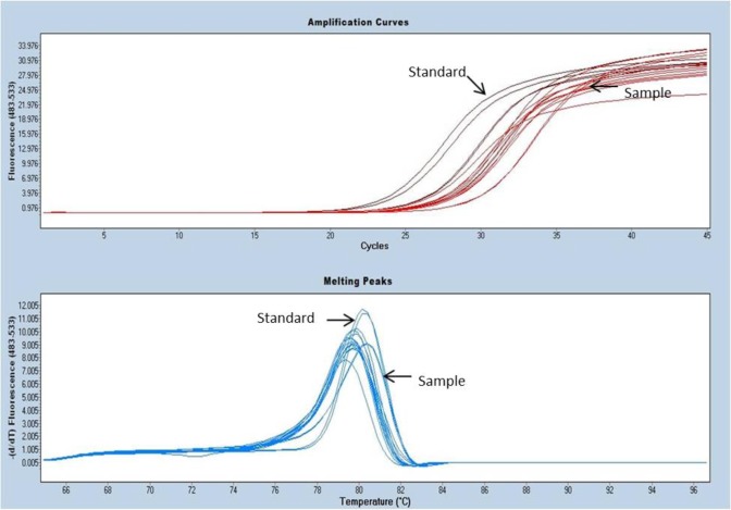 Fig. 3: