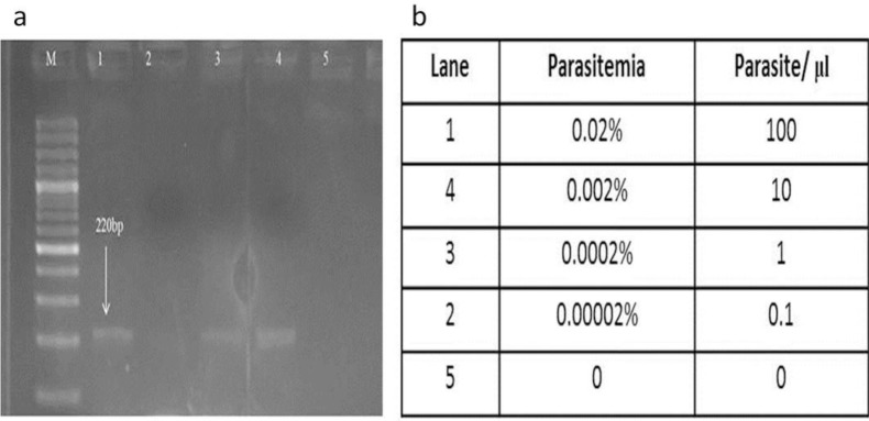 Fig. 4: