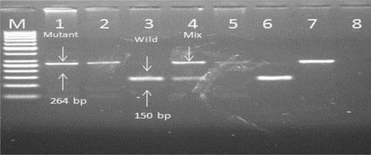 Fig. 7: