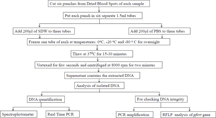 Fig. 1: