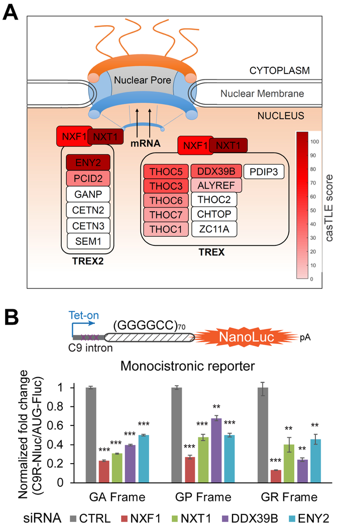 Figure 2: