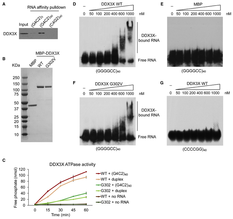 Figure 4: