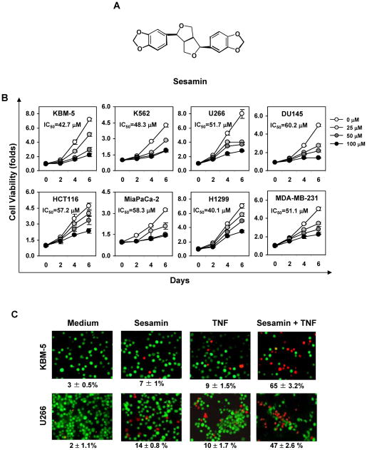 FIGURE 1