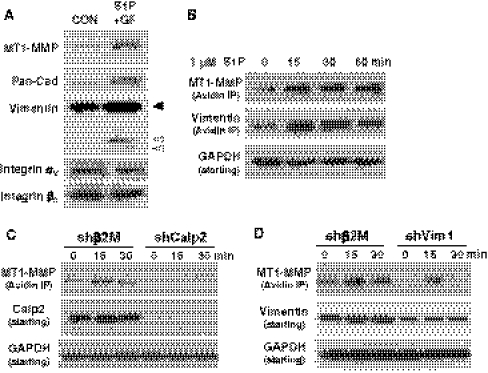 Fig. 7