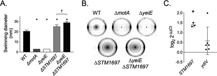 FIG 6