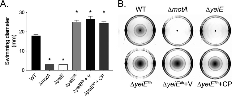 FIG 5