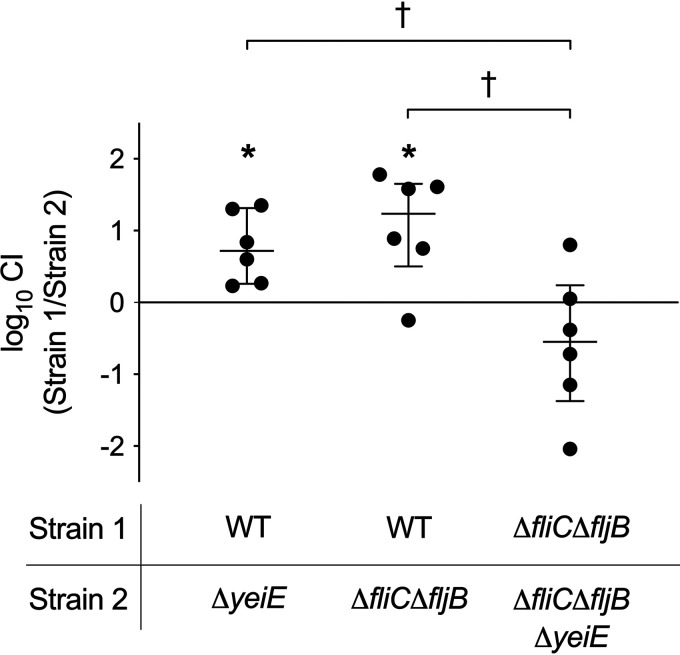 FIG 3