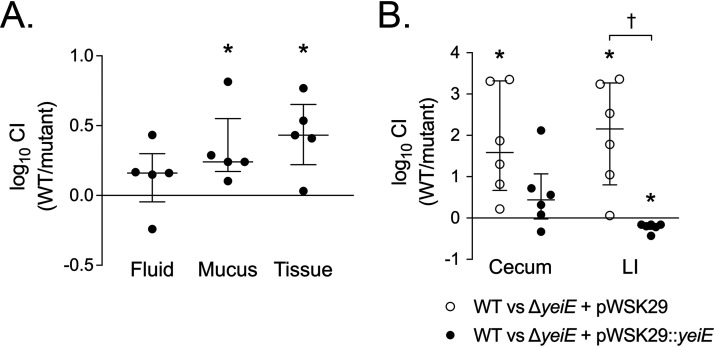 FIG 2