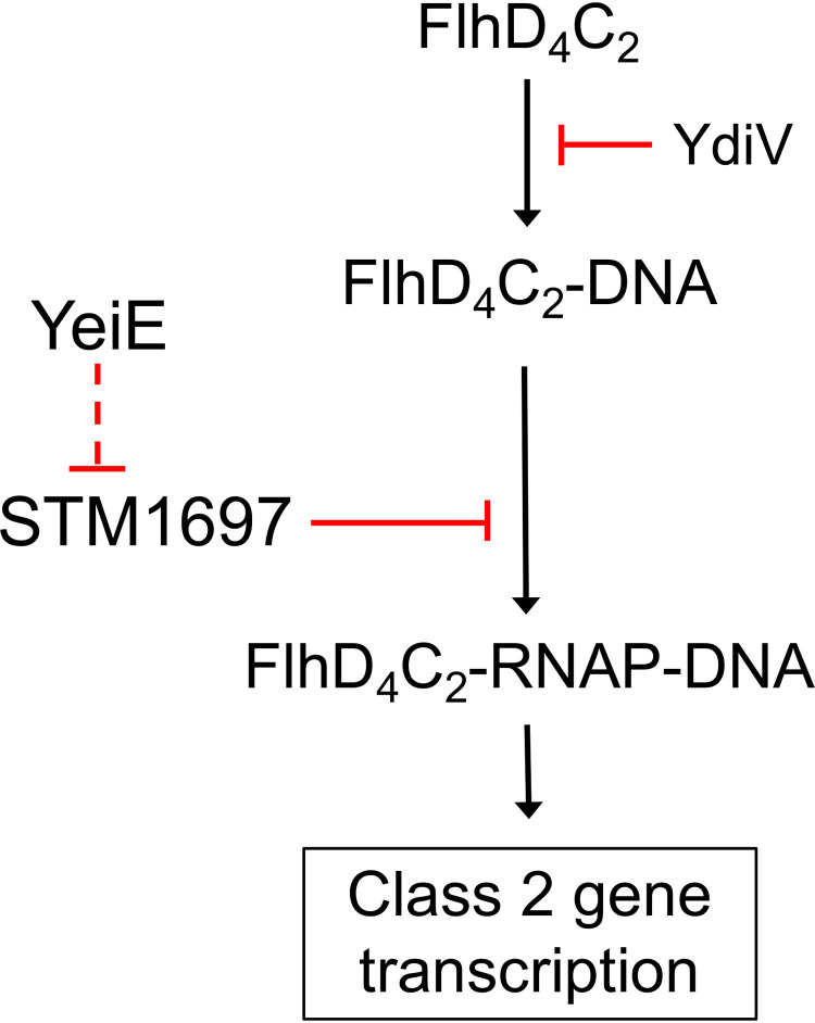 FIG 7