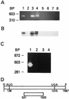 FIG. 5