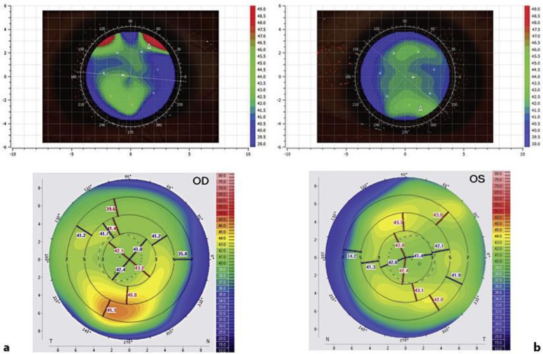 Fig. 2