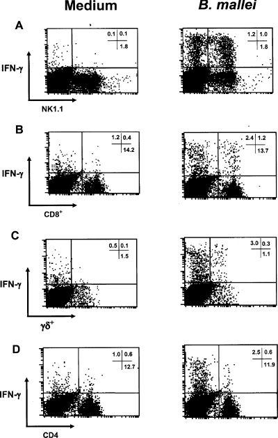 FIG. 7.