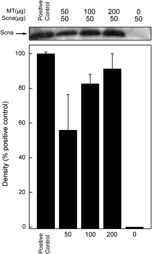 FIG. 7.