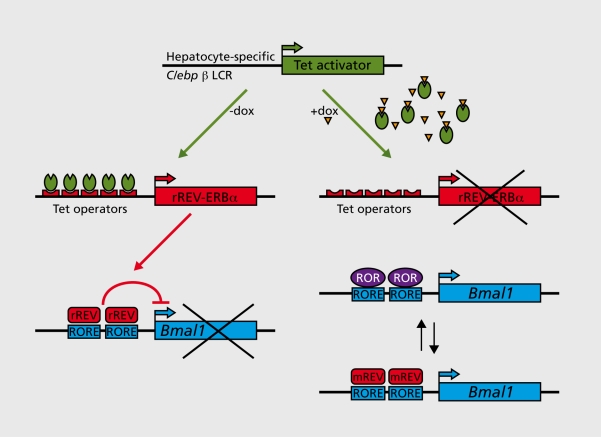 Figure 2.