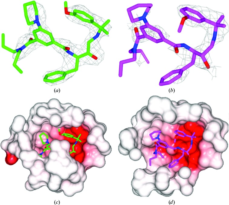 Figure 6