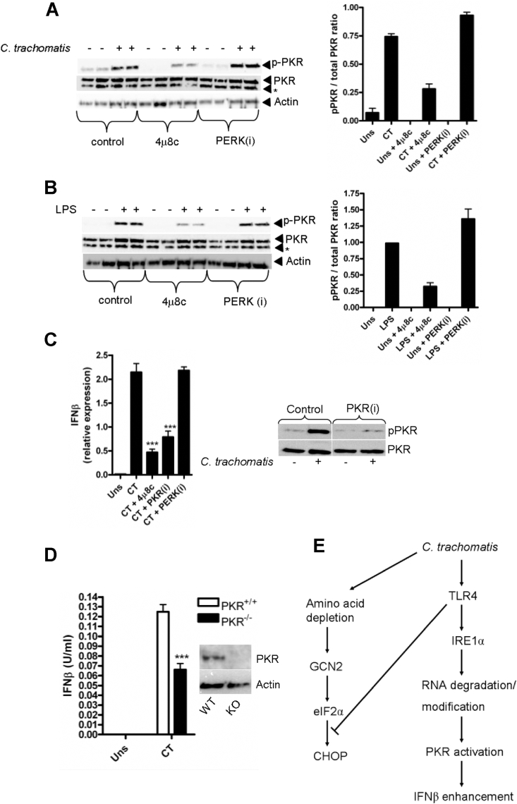 Fig. 6