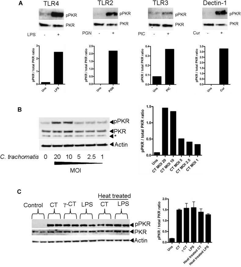 Fig. 1