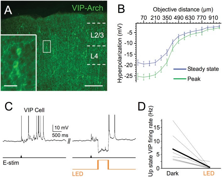 FIGURE 4