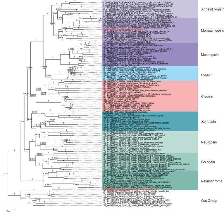 Extended Data Fig. 5