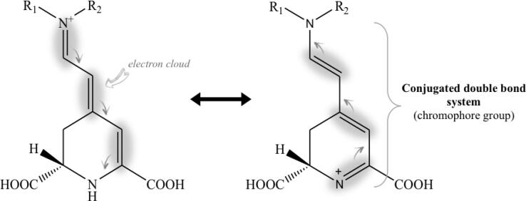 Fig. 2