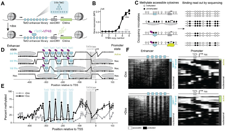 Figure 1: