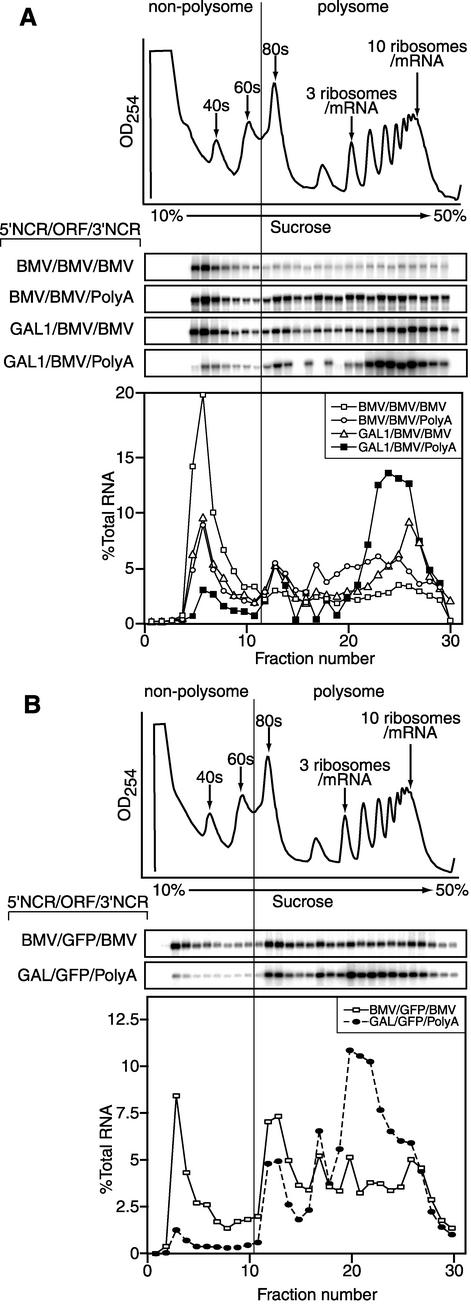 FIG. 7.