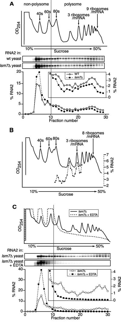 FIG. 8.