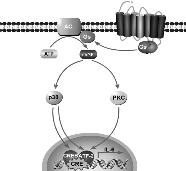 Fig. 8