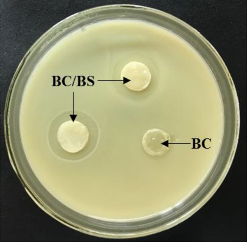 Fig. 7