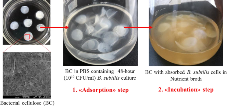 Fig. 1