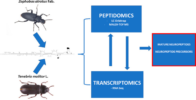 graphic file with name pr1c00694_0006.jpg