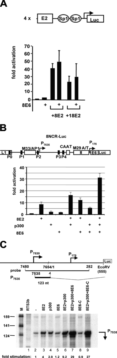 FIG. 1.