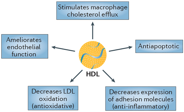 Figure 1 |