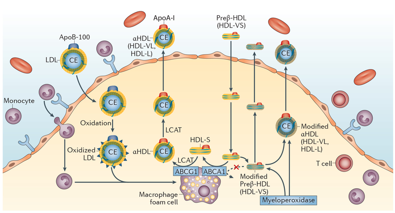 Figure 3 |