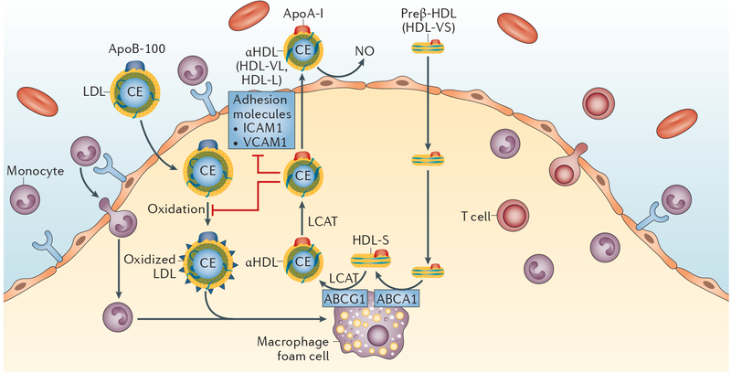 Figure 2 |