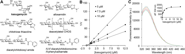 FIGURE 1