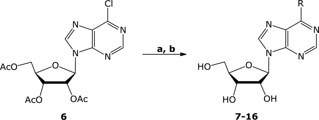 Scheme 1