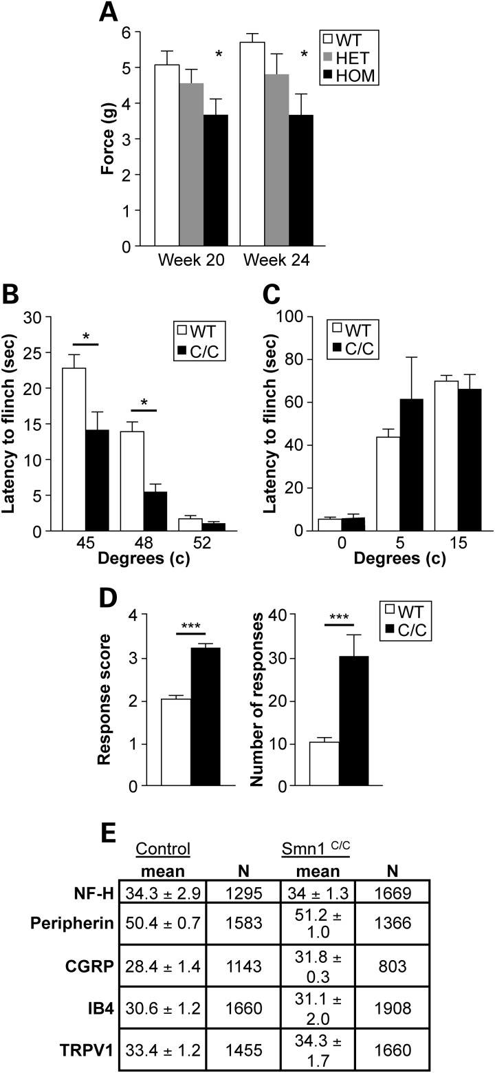 Figure 7.