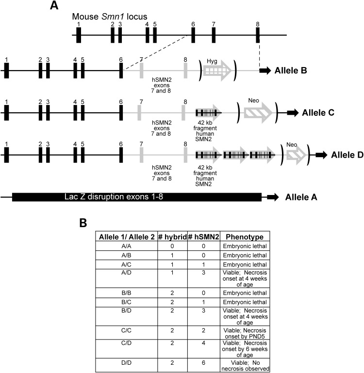 Figure 1.