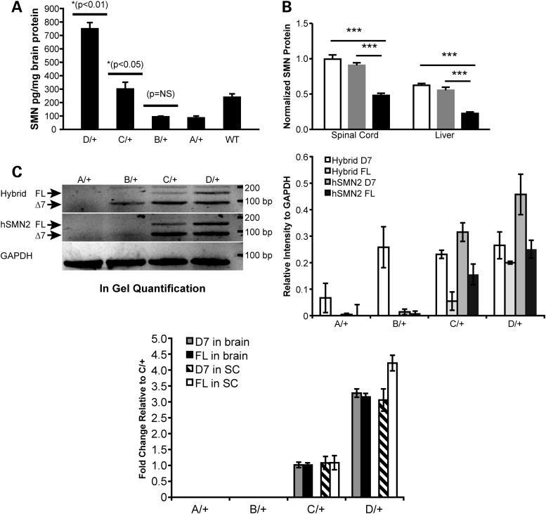 Figure 2.