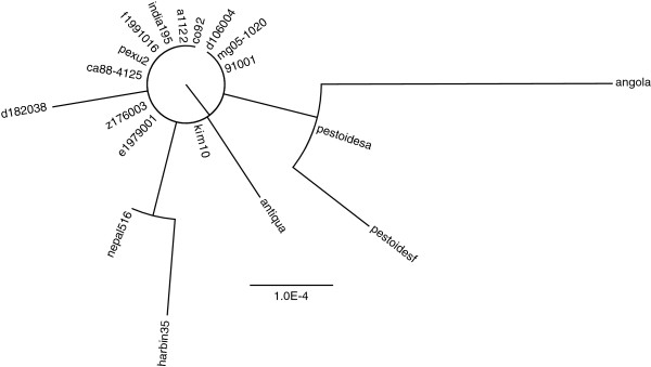 Figure 11