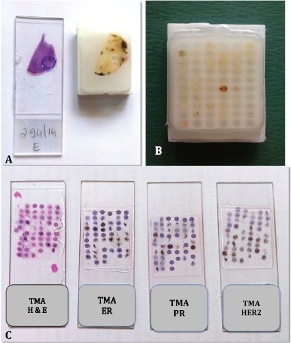 [Table/Fig-1]: