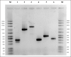 Figure-1